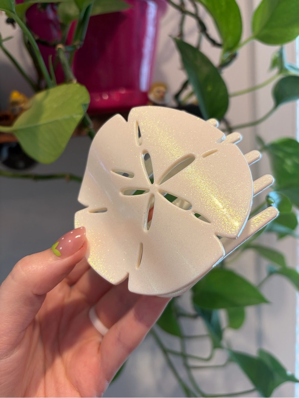 Sand Dollar Flat Clip - Medium Teleties